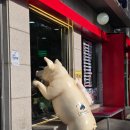 신해조 | 지난 주 일요일에 나는 제주도에 당일치기로 놀러 갔다 왔다. 좋은 추억. 그 후기 글 ㅎㅎ