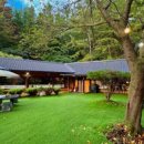 힐링애견샵 이미지