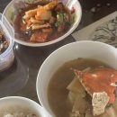 차와나무 다목원