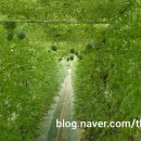 김연화농장 이미지