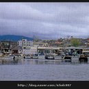 백도항구모텔 이미지