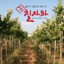 커라 이미지