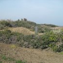 제주시 외도동 주민센터 이미지