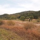 월평공원 습지길 이미지