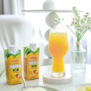 지에스(GS)25 주례무지개점 | GS25편의점 망고 음료 추천 말리 신제품 마하차녹 망고 주스