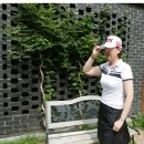 여성 골프티셔츠 JDX 고급스럽고 활동성 좋아요