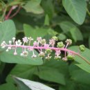 삼봉초등학교 이미지