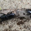 행복한체험마을 이미지