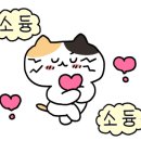봉곡동309 이미지