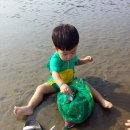 서천생태공원 이미지