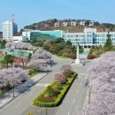신성대학교