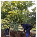 창선농장 이미지