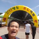(2017. 8. 27) 제14회 영동포도 전국마라톤대회 하프후기 이미지
