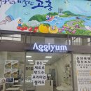 순천역 | [순천/디저트] 순천역 수제 젤라또 '아끼염' 내돈내산 맛집 후기