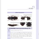 동진문화사