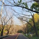 별헤는 몰랑 이미지