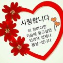 정담은 이미지