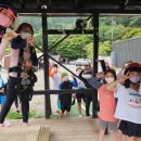 용인대 도곡 태권도장 이미지