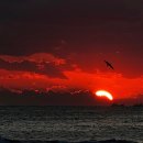 허 스튜디오 민박 이미지