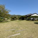 사라의 정원 이미지