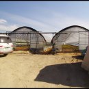 현이농장 이미지