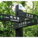 9/23[토]내장산+백암산1일2산 (100대 명산)-산행안내/좌석표 이미지