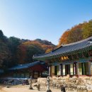 (주)제주파랑새관광여행사 이미지