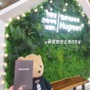 무등당구장 | 화순 숙소 추천 금호화순스파리조트 부대시설 살펴보기