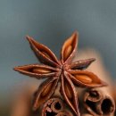 수원-1794 이미지