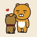 K다이나믹 복싱 이미지