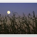 바다와 시인 민박 이미지