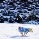 평창송어촌 이미지