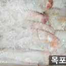 목포밴댕이 이미지