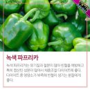 파프리카 이미지