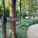 시민의 솟음길 이미지