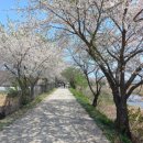 파평주유소 이미지