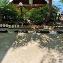 펜션정원 이미지