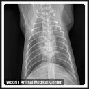 조치원메디컬센터 이미지