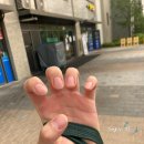 나몽살롱