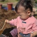아이세상어린이집 | 김천에 있는 특별한 어린이집, 다솜어린이집에서 아이의 평화로운 하루를 만나보세요