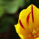 부천자연생태박물관 이미지