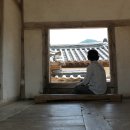 풍산1리 | 안동 병산서원과 체화정 배롱나무꽃을 찾아서