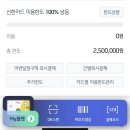 신카 티스토리