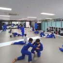 세이퍼 유도&주짓수 이미지