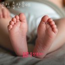 (본점)출산후애 | 중랑구산후도우미 본점 출산후애 정보