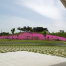 경산공룡박물관 이미지