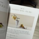 서나세라믹 네이버블로그