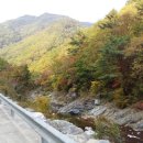 자개골캠핑장 이미지