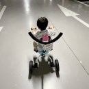 알메디파크 이미지