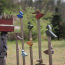 피노키5 이미지